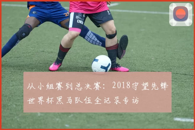 从小组赛到总决赛：2018守望先锋世界杯黑马队伍全记录专访