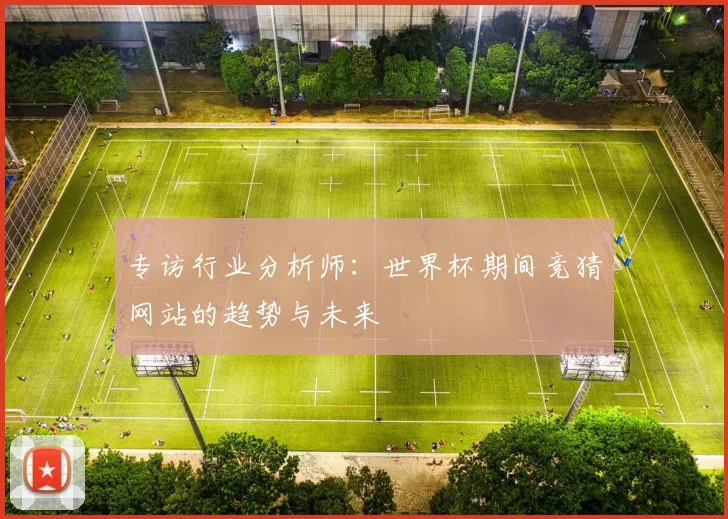 专访行业分析师:世界杯期间竞猜网站的趋势与未来