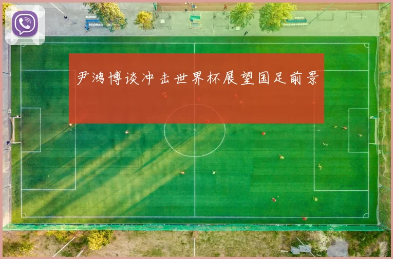 尹鸿博谈冲击世界杯展望国足前景