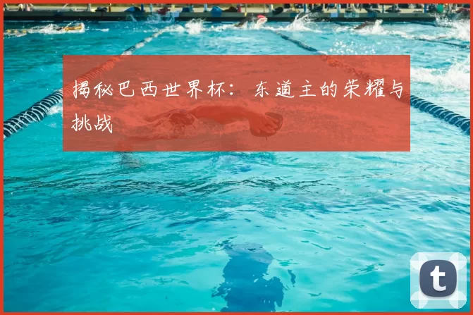 揭秘巴西世界杯:东道主的荣耀与挑战