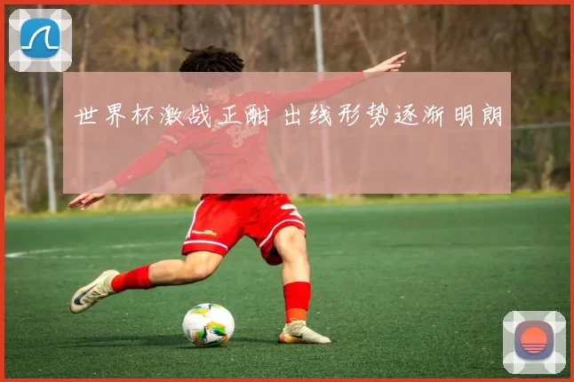 世界杯激战正酣 出线形势逐渐明朗