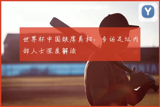世界杯中国缺席真相,专访足坛内部人士深度解读