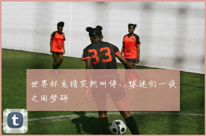 世界杯竞猜突然叫停,球迷们一夜之间梦碎