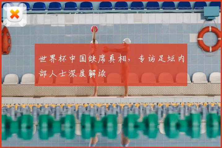 世界杯中国缺席真相,专访足坛内部人士深度解读