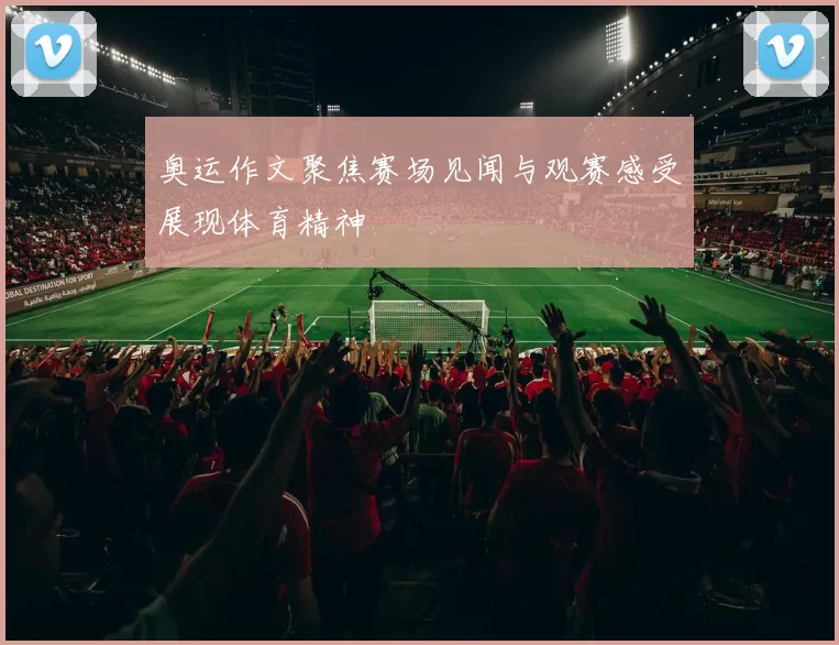 奥运作文聚焦赛场见闻与观赛感受展现体育精神