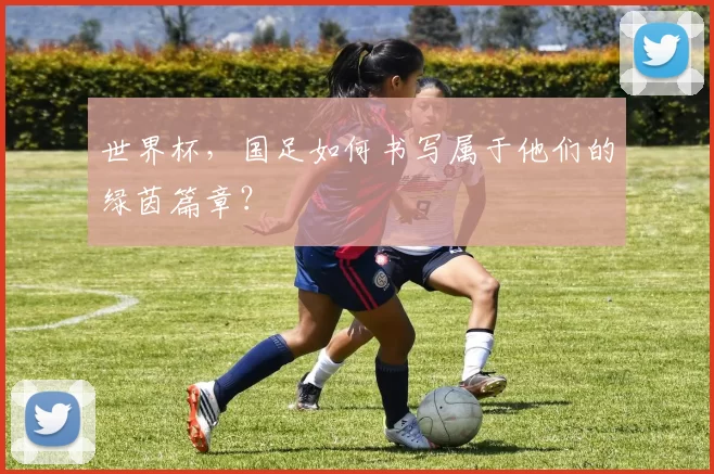 世界杯,国足如何书写属于他们的绿茵篇章?