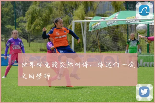世界杯竞猜突然叫停,球迷们一夜之间梦碎