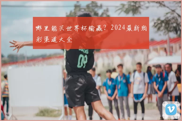 哪里能买世界杯输赢?2024最新购彩渠道大全