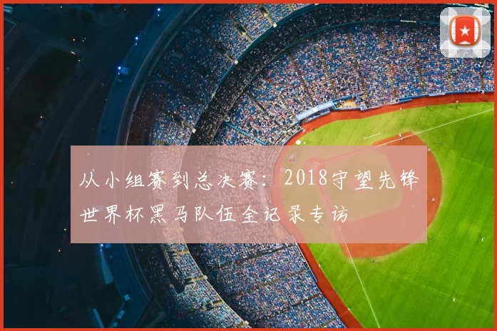 从小组赛到总决赛：2018守望先锋世界杯黑马队伍全记录专访