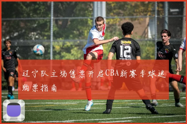 辽宁队主场售票开启CBA新赛季球迷购票指南