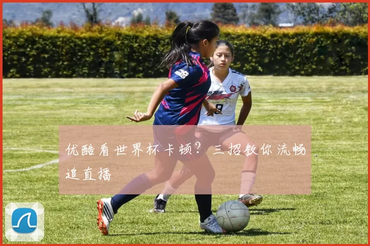 优酷看世界杯卡顿?三招教你流畅追直播